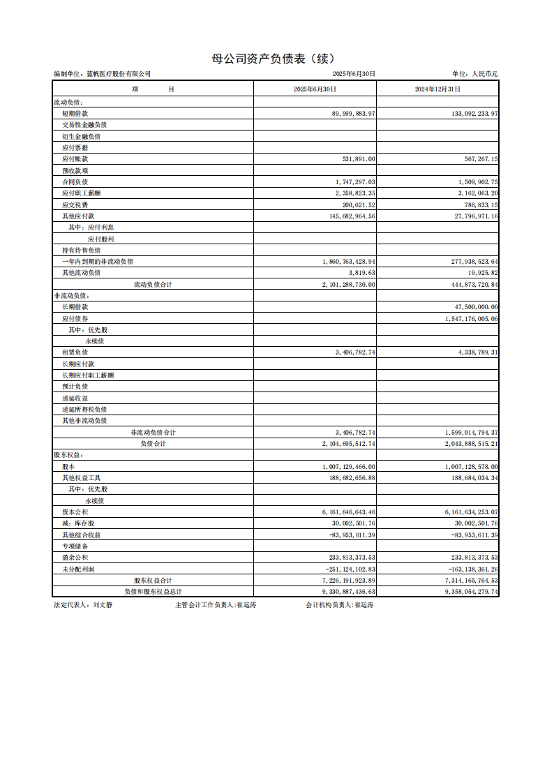 蓝帆医疗：半年报财务报表_08