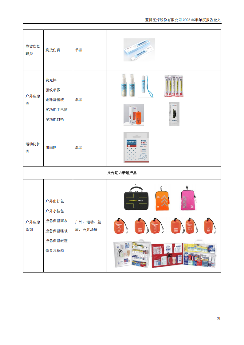 蓝帆医疗：2025年半年度报告_31