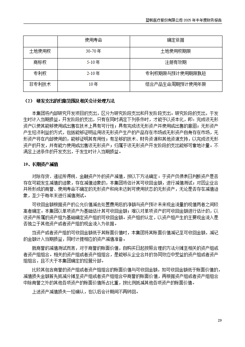 8-2025年半年度财务报告_29