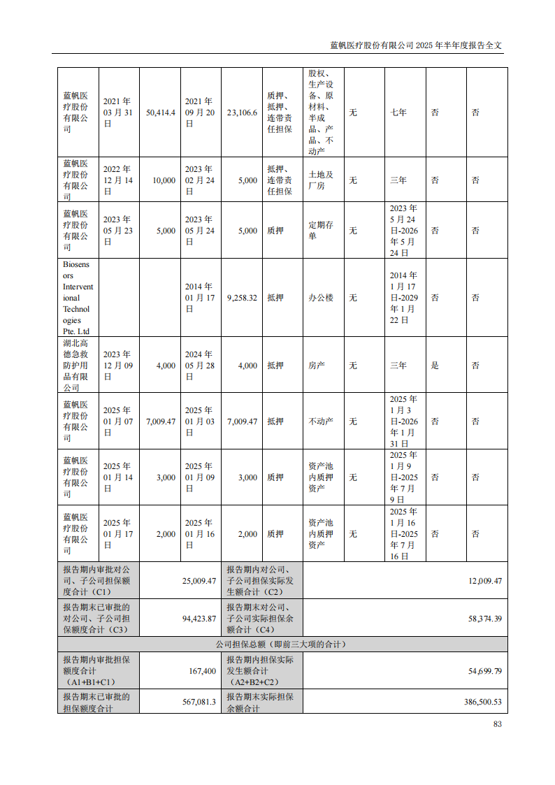 蓝帆医疗：2025年半年度报告_83