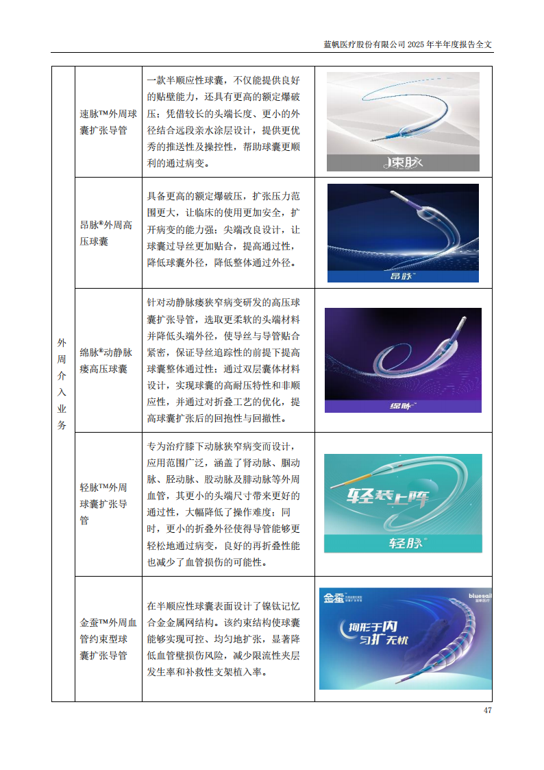 蓝帆医疗：2025年半年度报告_47