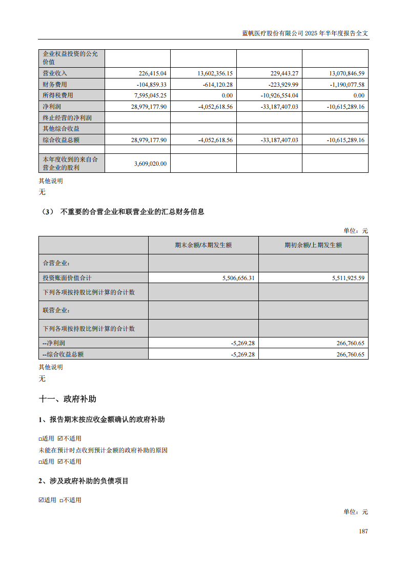 蓝帆医疗：2025年半年度报告_187