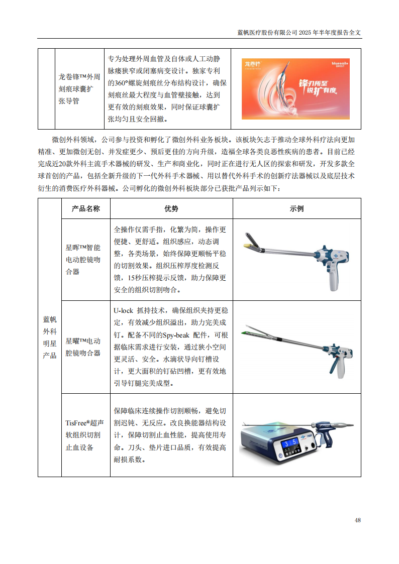 蓝帆医疗：2025年半年度报告_48