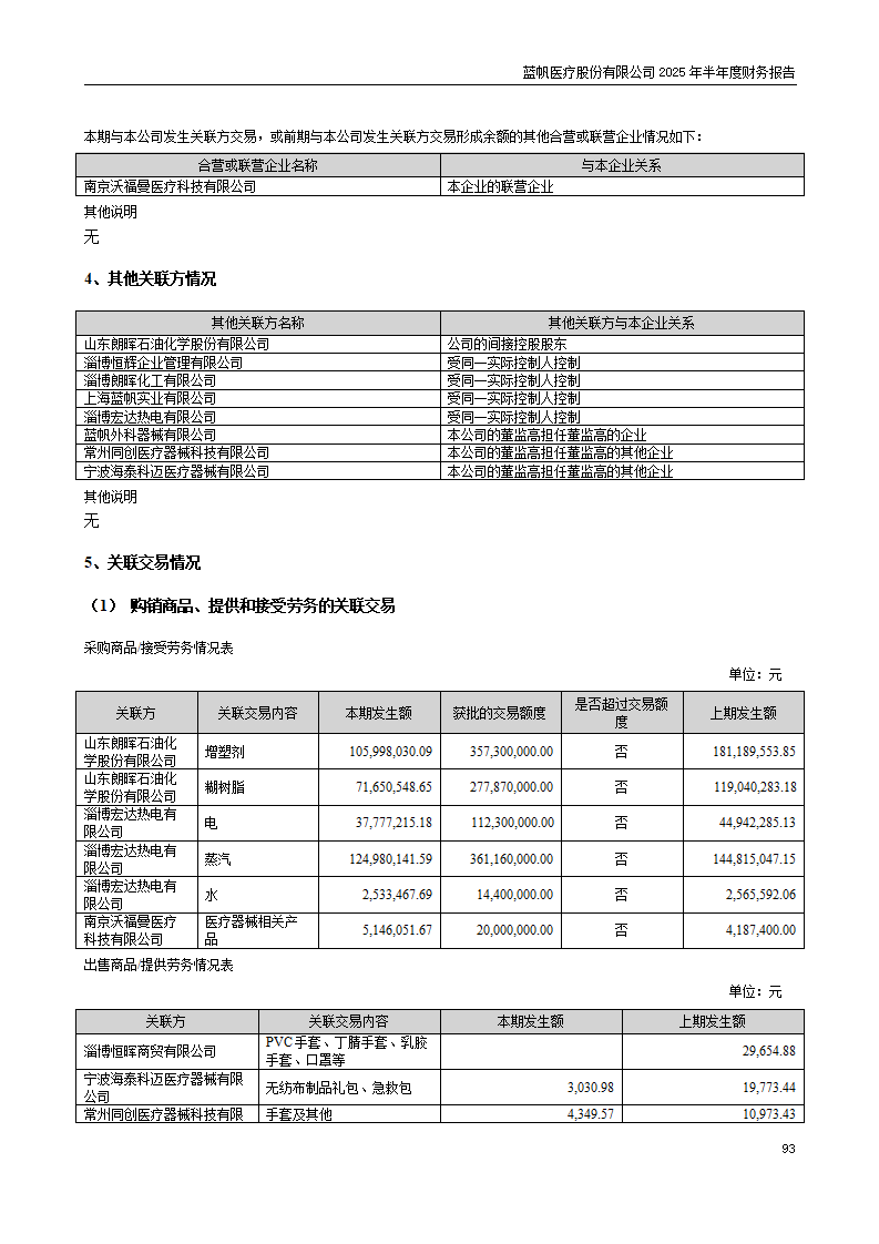 8-2025年半年度财务报告_93