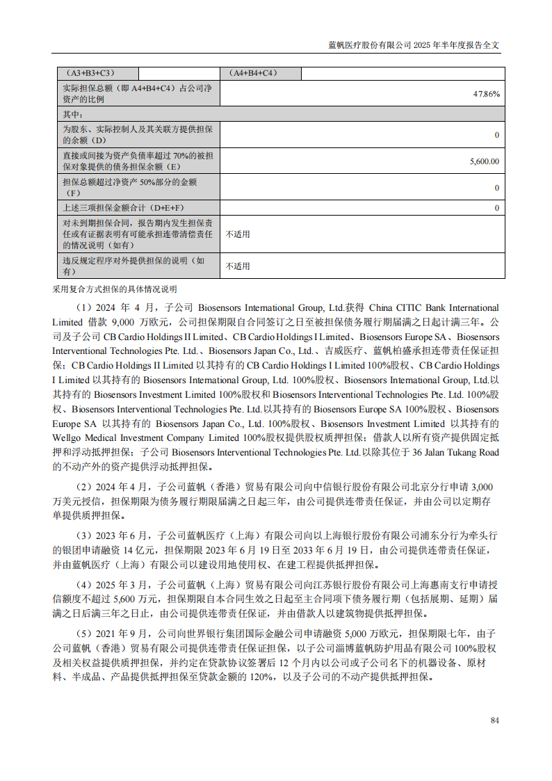 蓝帆医疗：2025年半年度报告_84