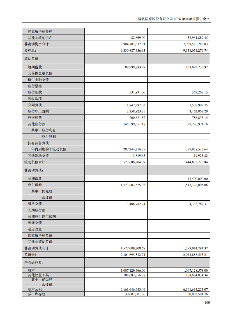 蓝帆医疗：2025年半年度报告_106