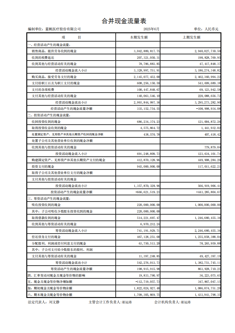 蓝帆医疗：半年报财务报表_04