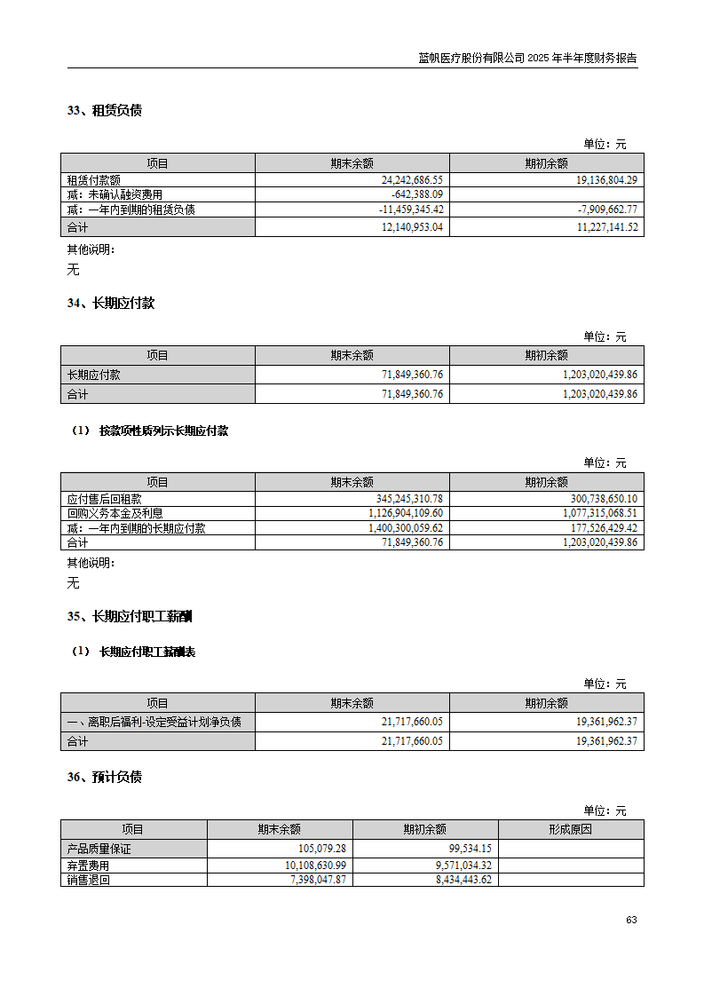 8-2025年半年度财务报告_63