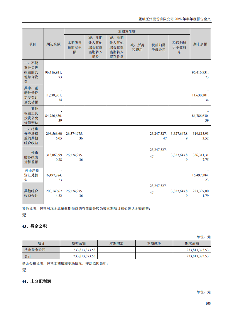 蓝帆医疗：2025年半年度报告_165