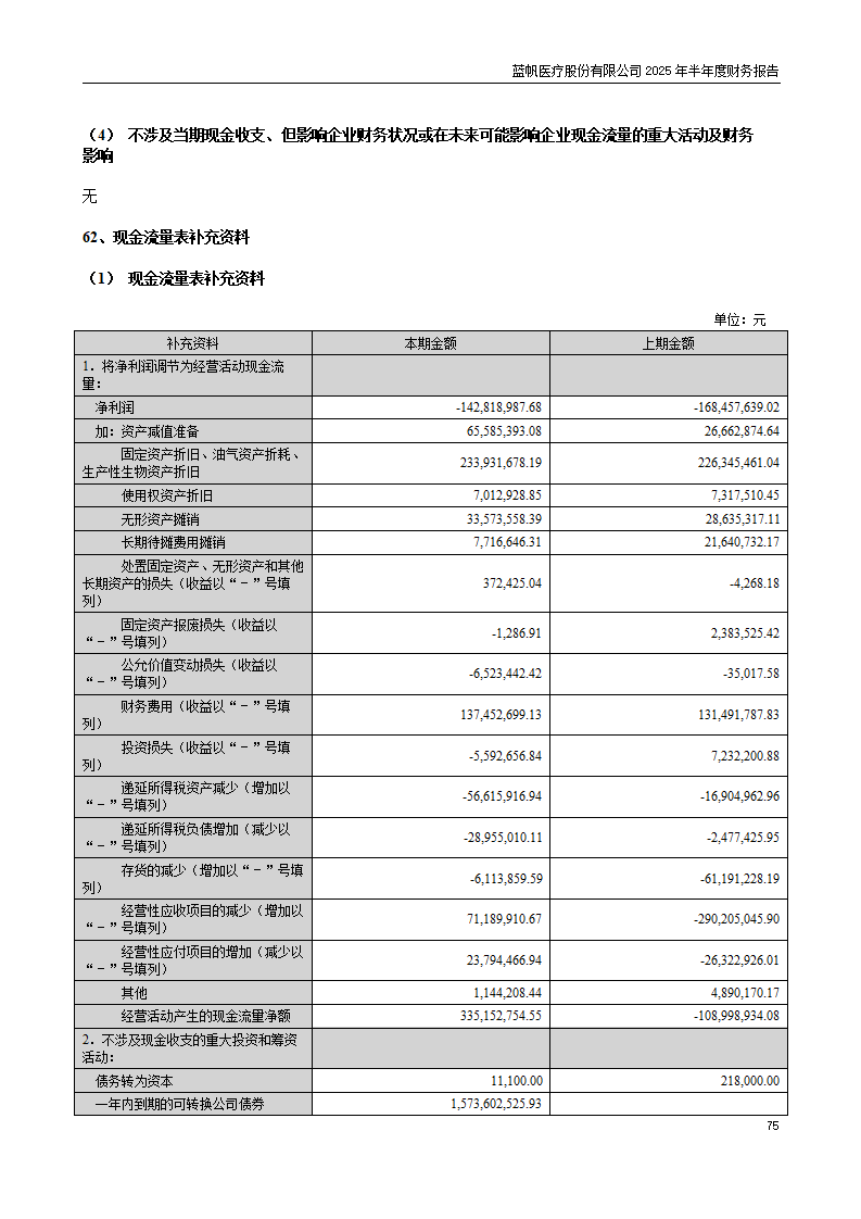 8-2025年半年度财务报告_75