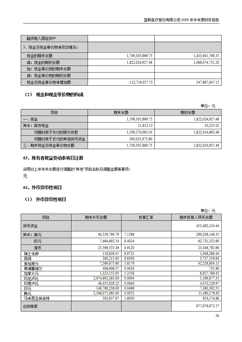 8-2025年半年度财务报告_76