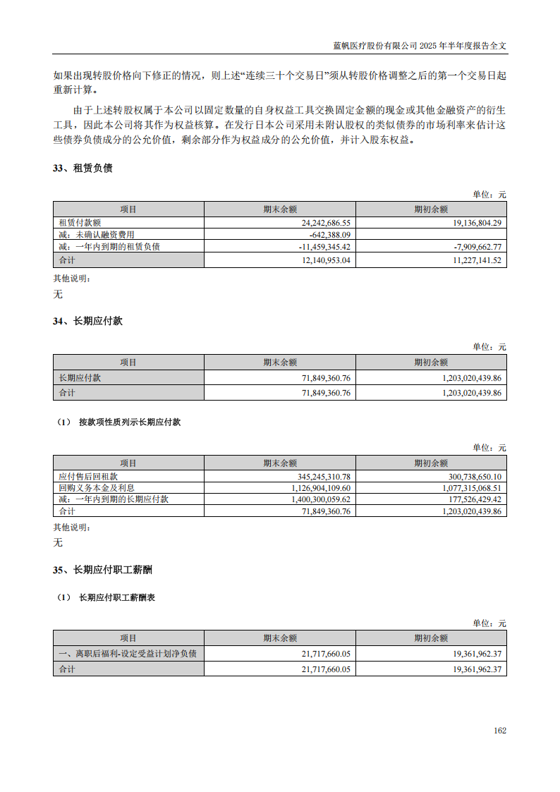 蓝帆医疗：2025年半年度报告_162