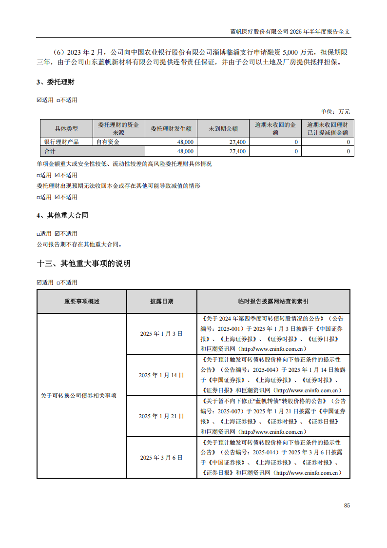 蓝帆医疗：2025年半年度报告_85