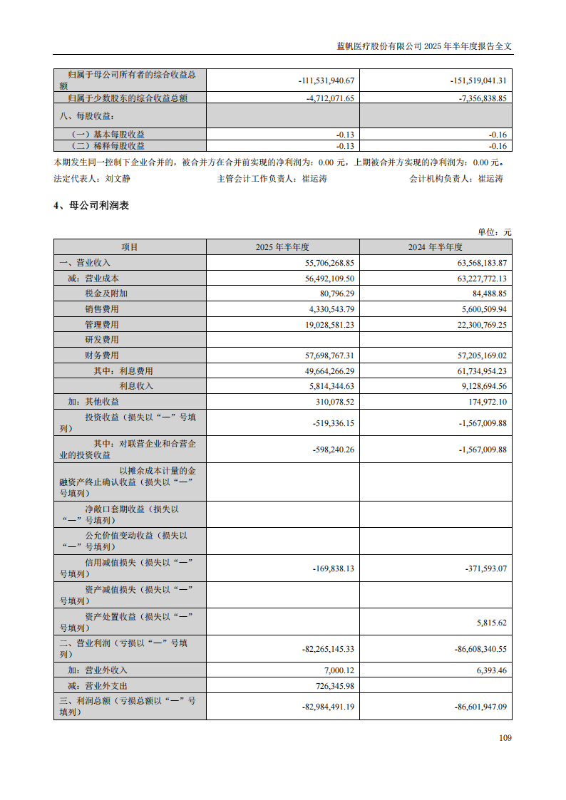 蓝帆医疗：2025年半年度报告_109