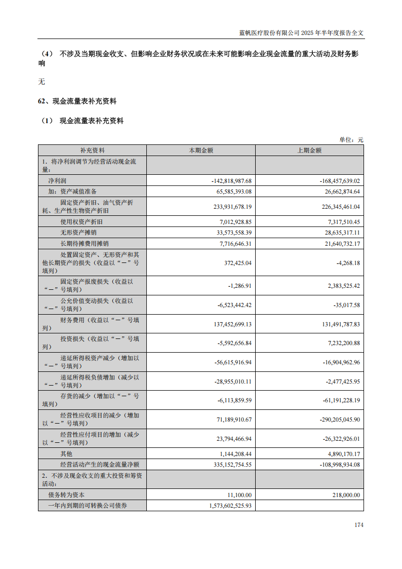 蓝帆医疗：2025年半年度报告_174