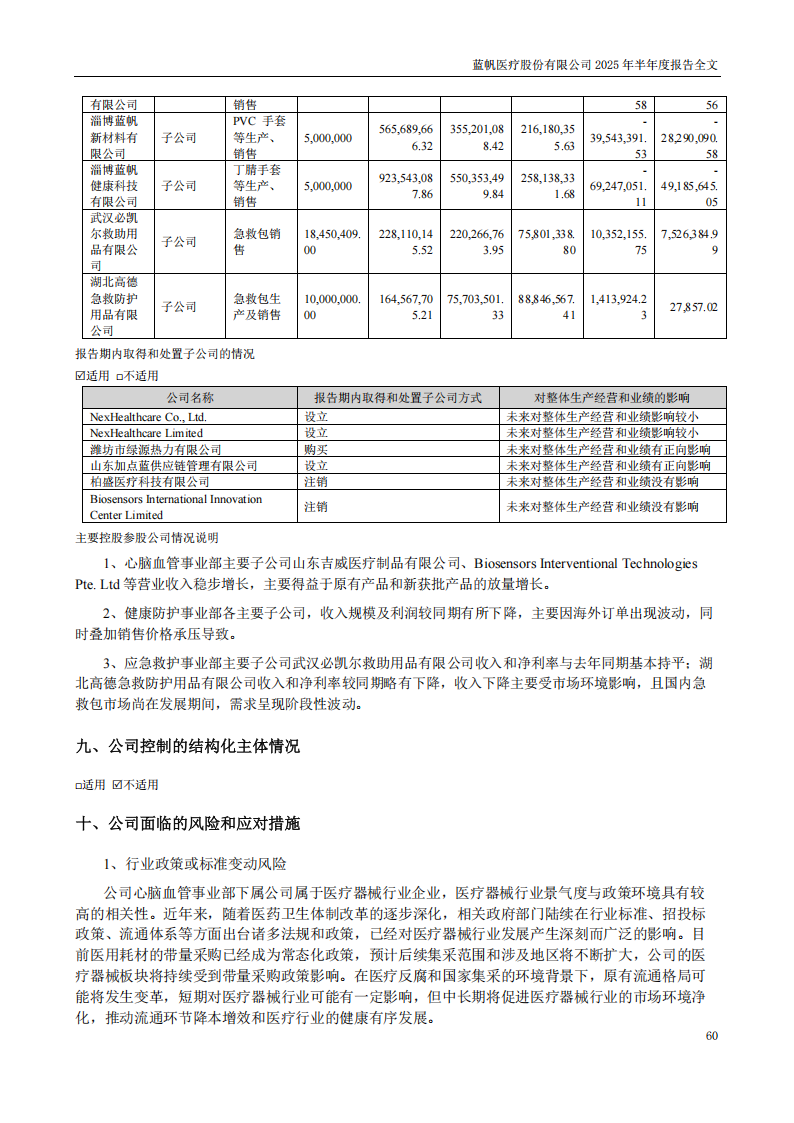 蓝帆医疗：2025年半年度报告_60
