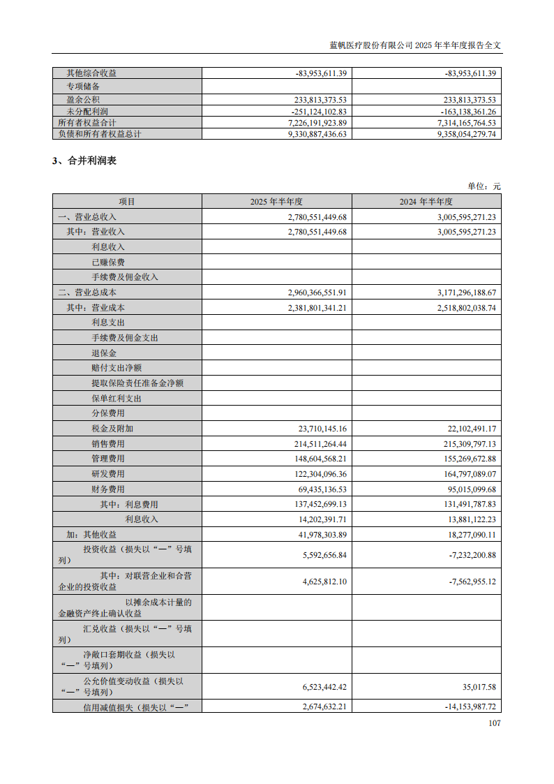 蓝帆医疗：2025年半年度报告_107