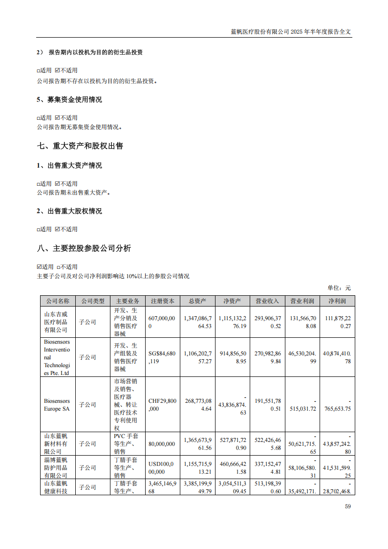 蓝帆医疗：2025年半年度报告_59