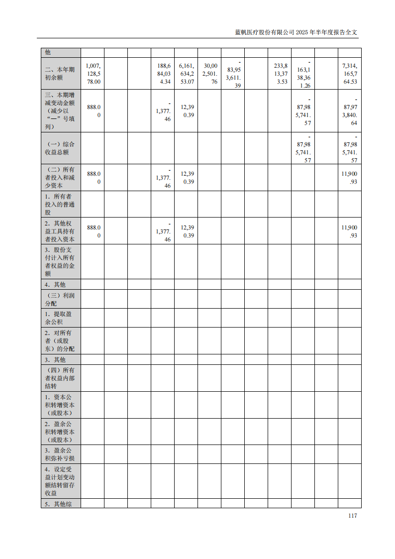 蓝帆医疗：2025年半年度报告_117
