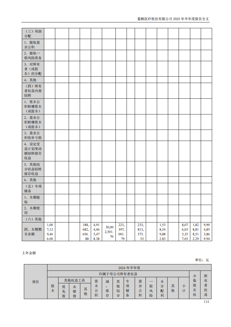 蓝帆医疗：2025年半年度报告_114