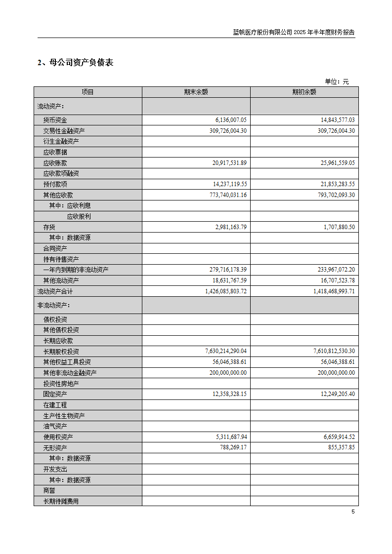 8-2025年半年度财务报告_05