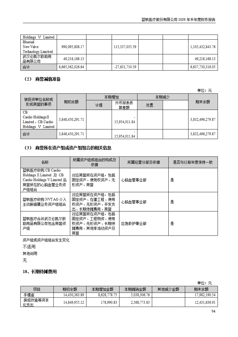 8-2025年半年度财务报告_54
