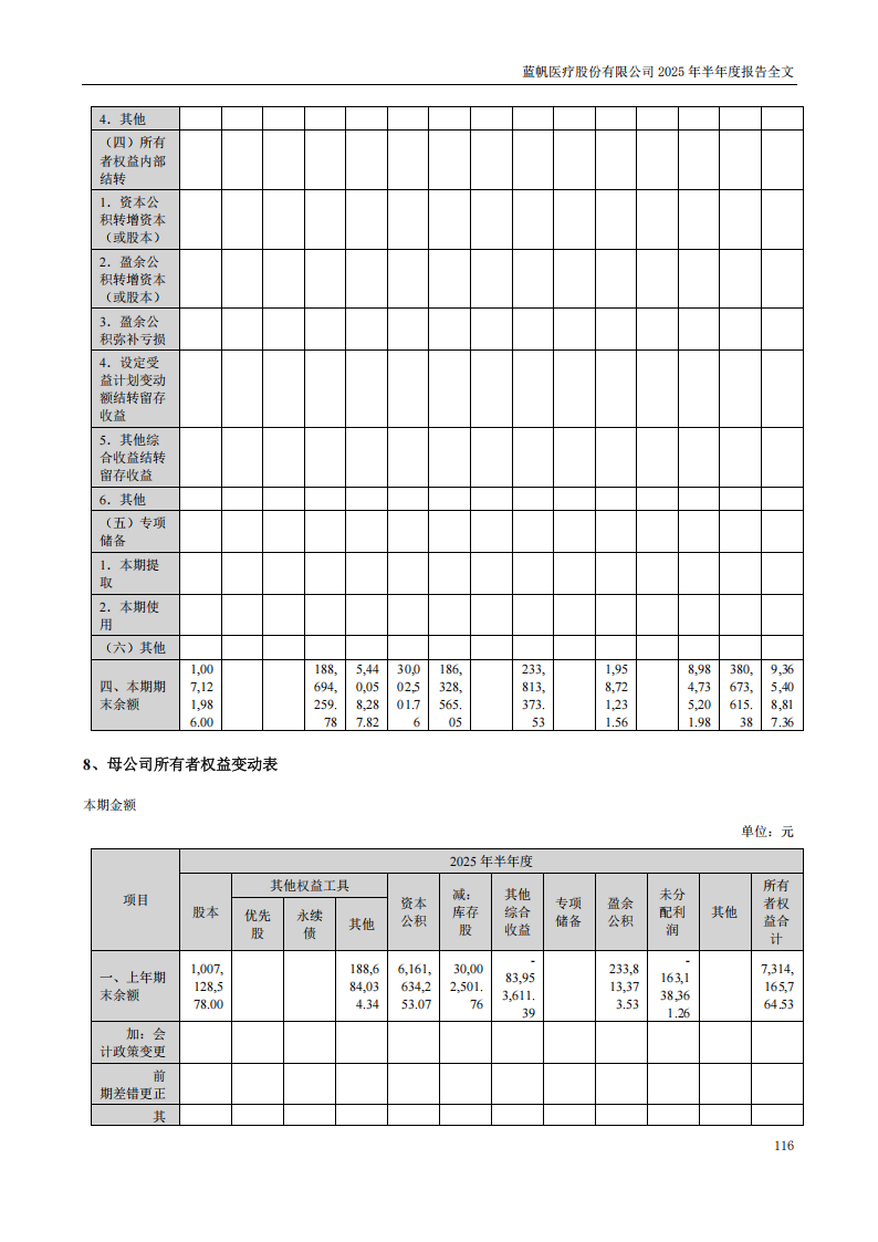 蓝帆医疗：2025年半年度报告_116