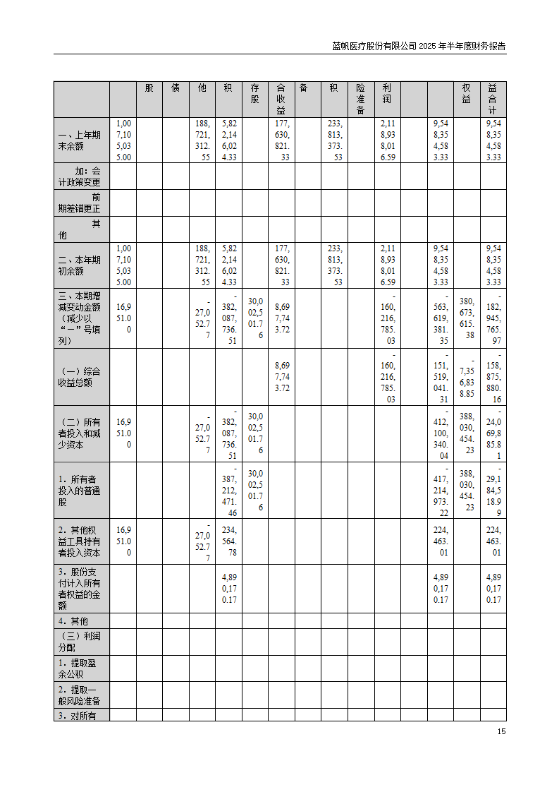 8-2025年半年度财务报告_15