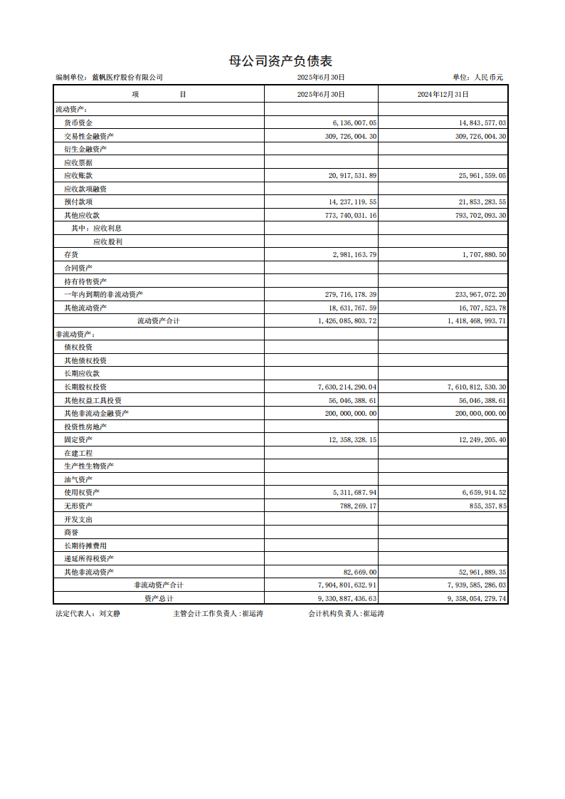 蓝帆医疗：半年报财务报表_07