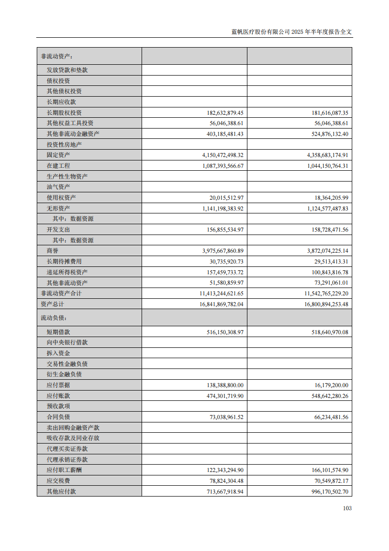 蓝帆医疗：2025年半年度报告_103