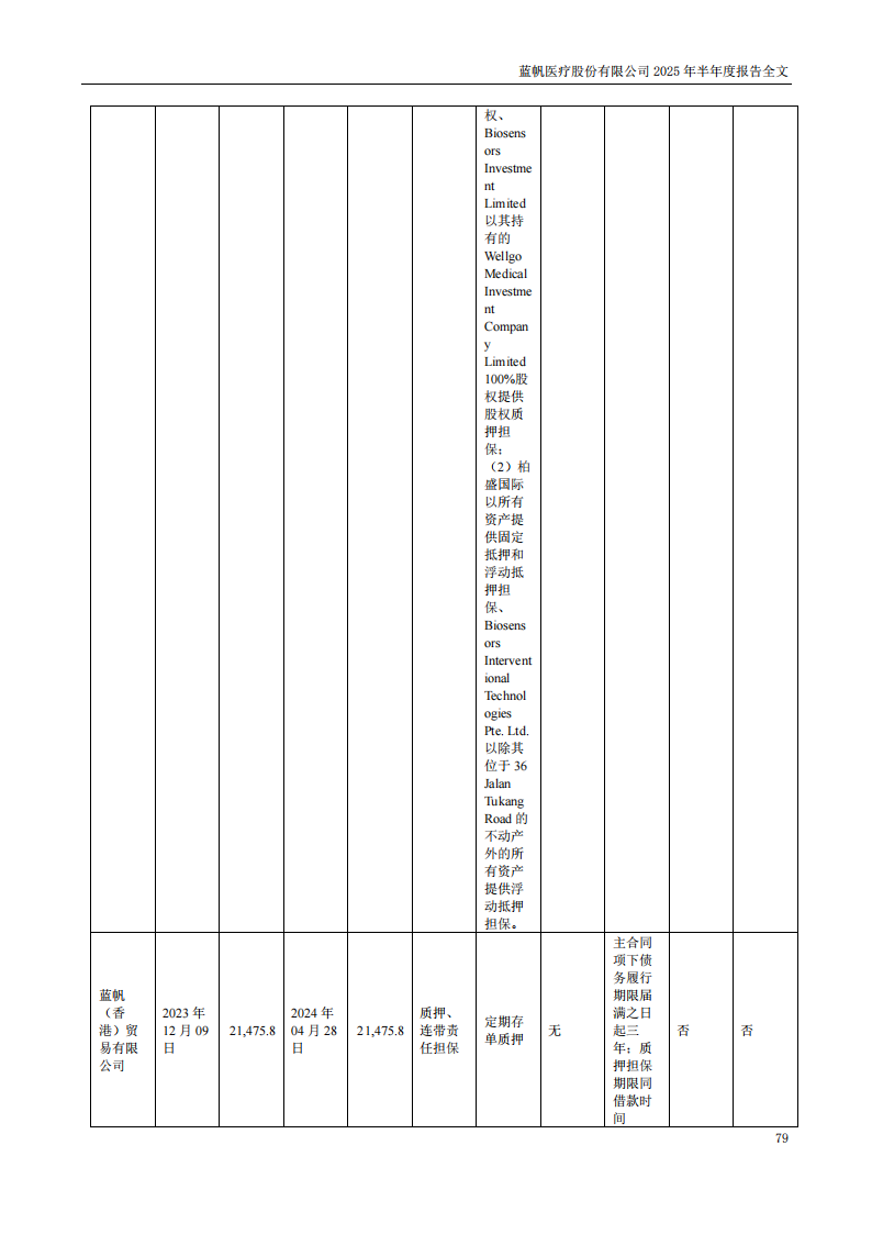蓝帆医疗：2025年半年度报告_79