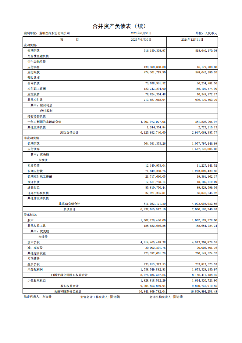 蓝帆医疗：半年报财务报表_02