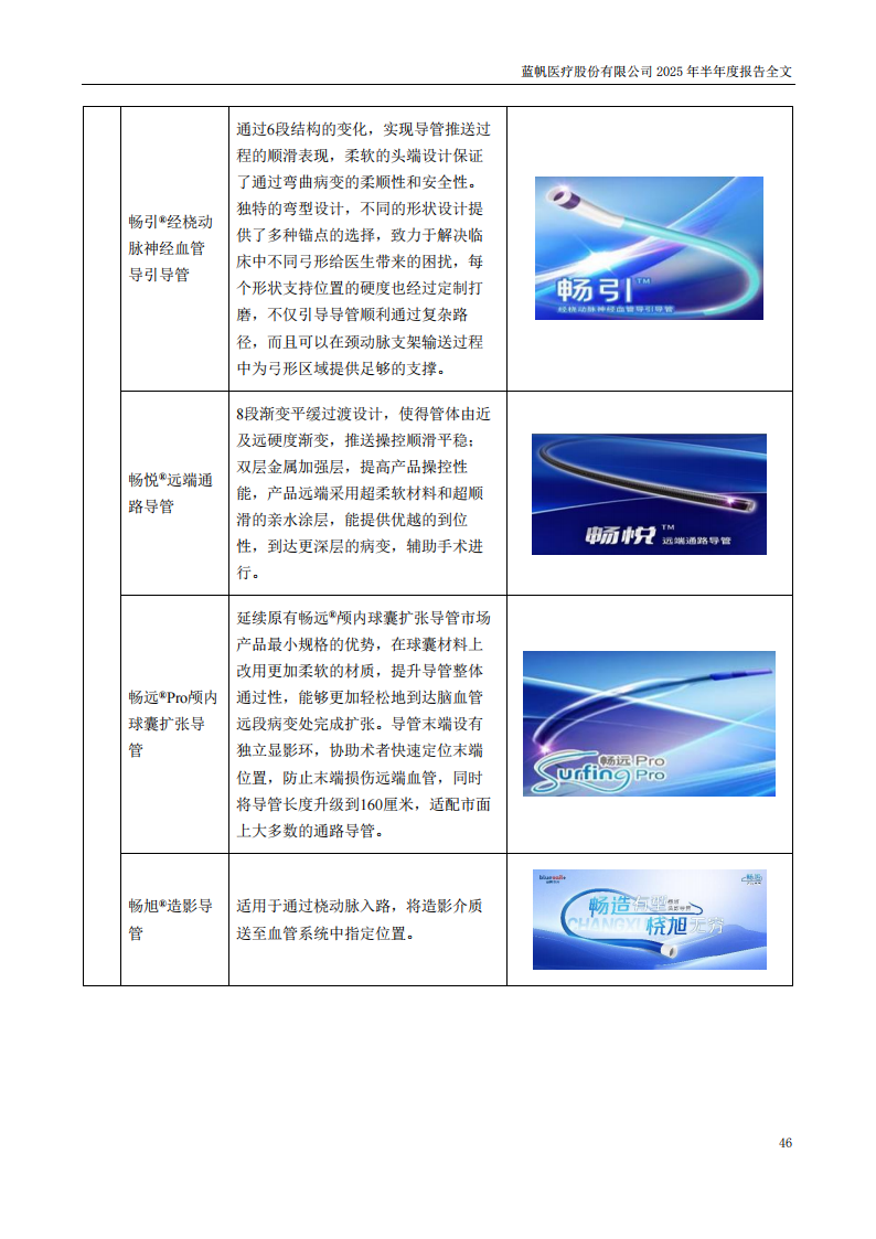 蓝帆医疗：2025年半年度报告_46