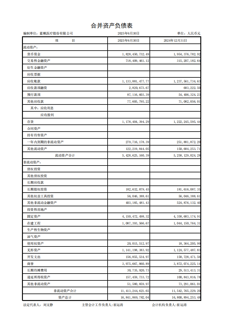 蓝帆医疗：半年报财务报表_01