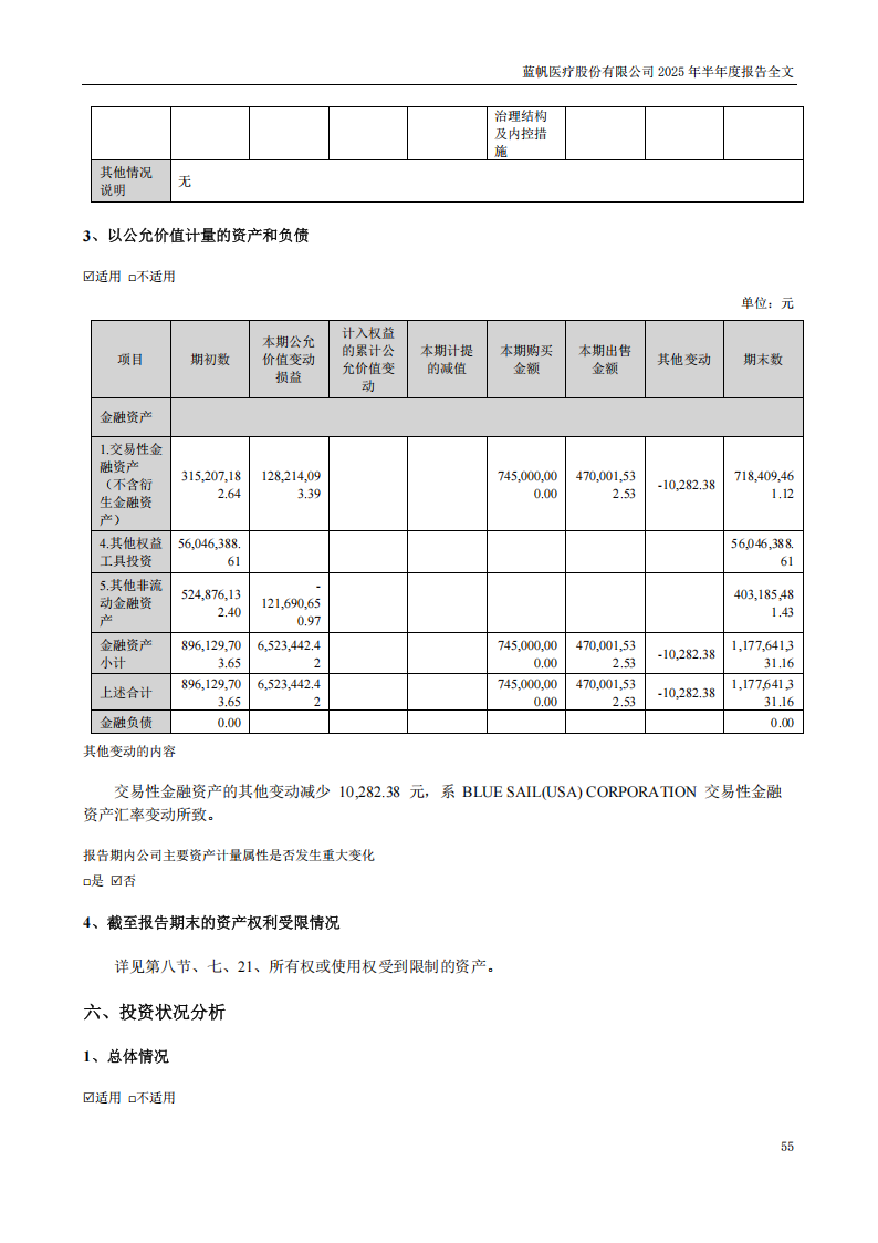 蓝帆医疗：2025年半年度报告_55