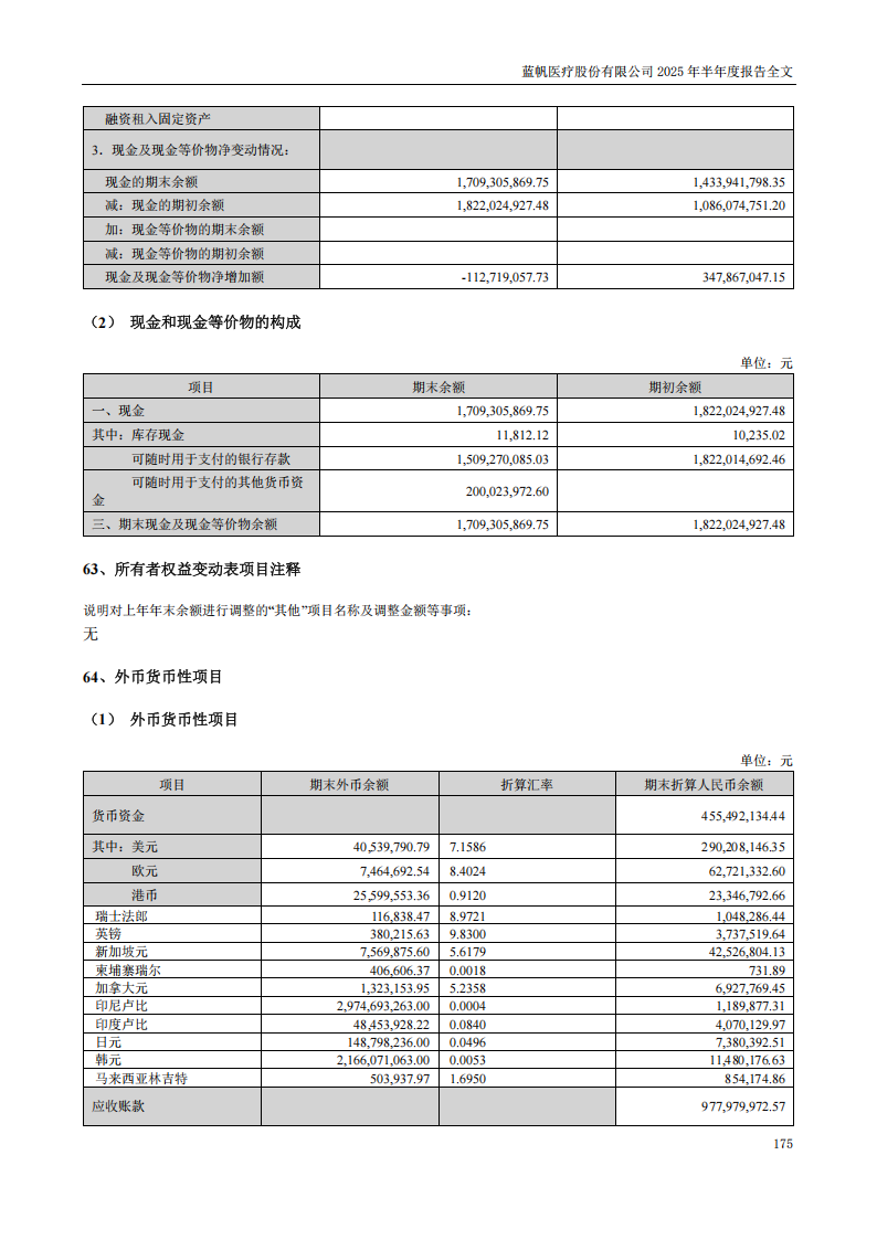 蓝帆医疗：2025年半年度报告_175