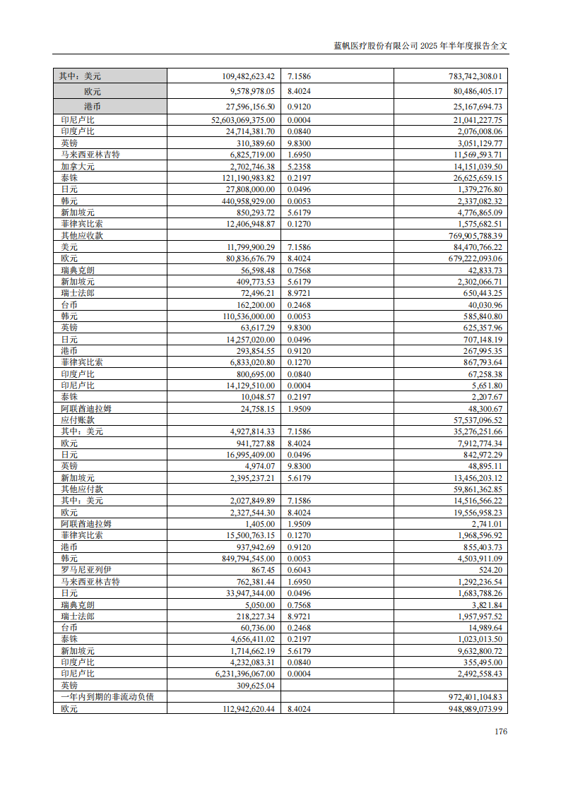 蓝帆医疗：2025年半年度报告_176