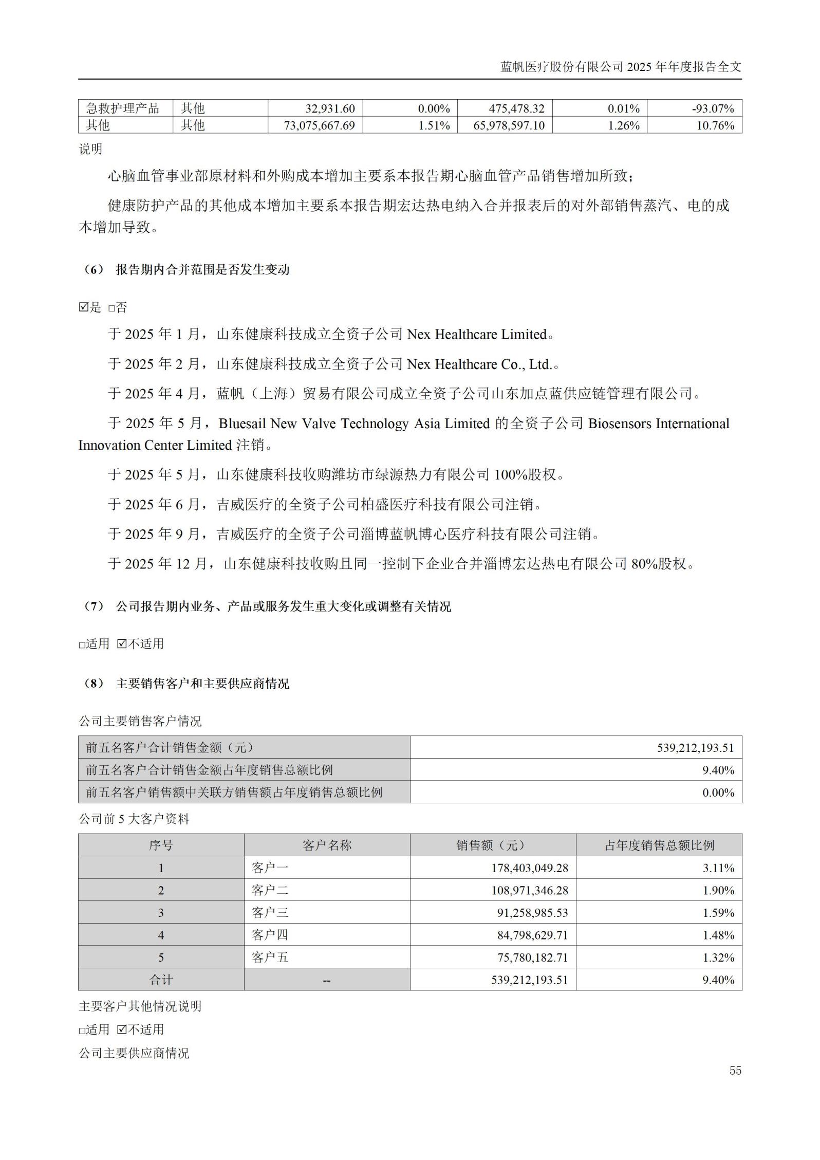 2025年年度报告_55