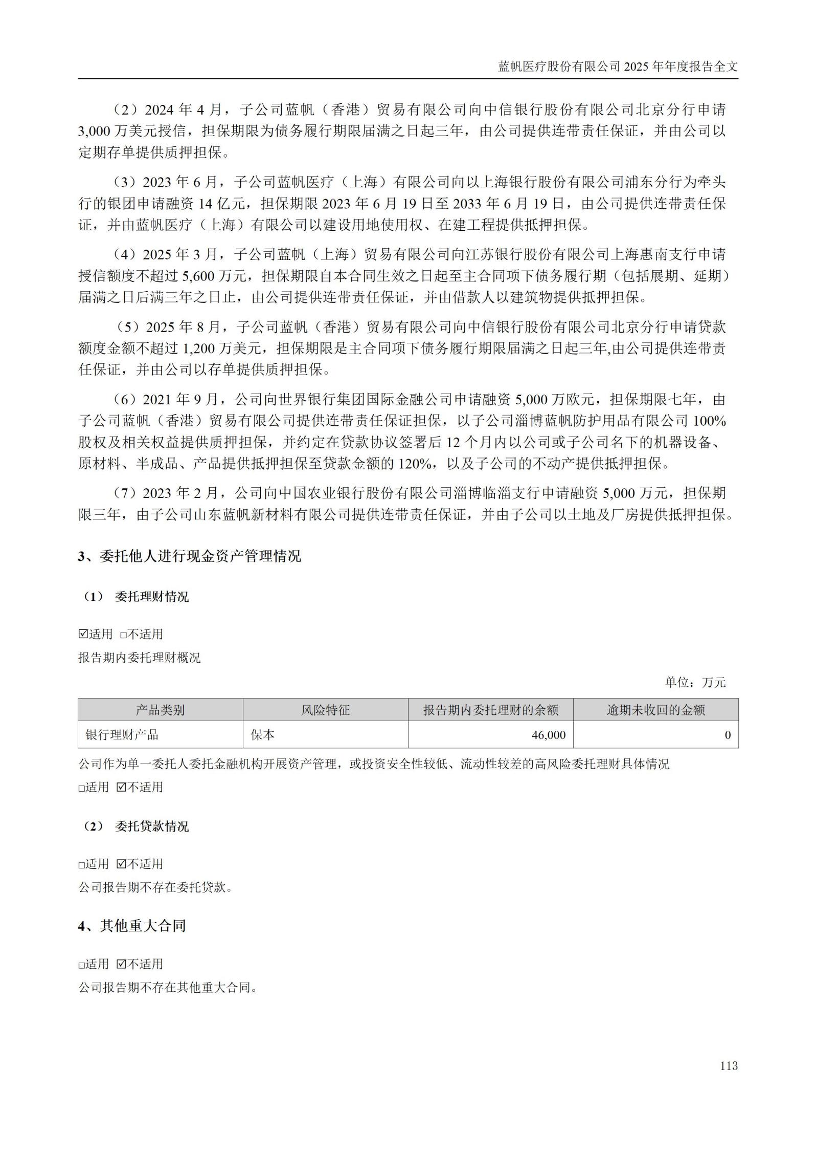 2025年年度报告_113