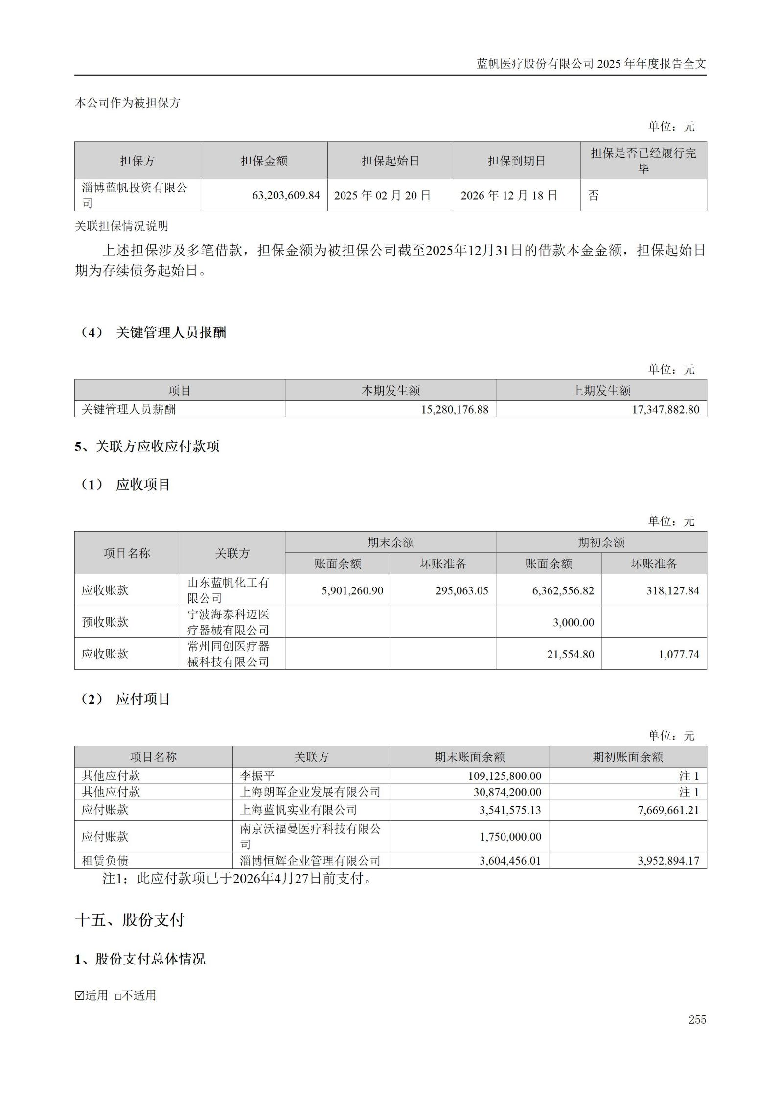 2025年年度报告_255