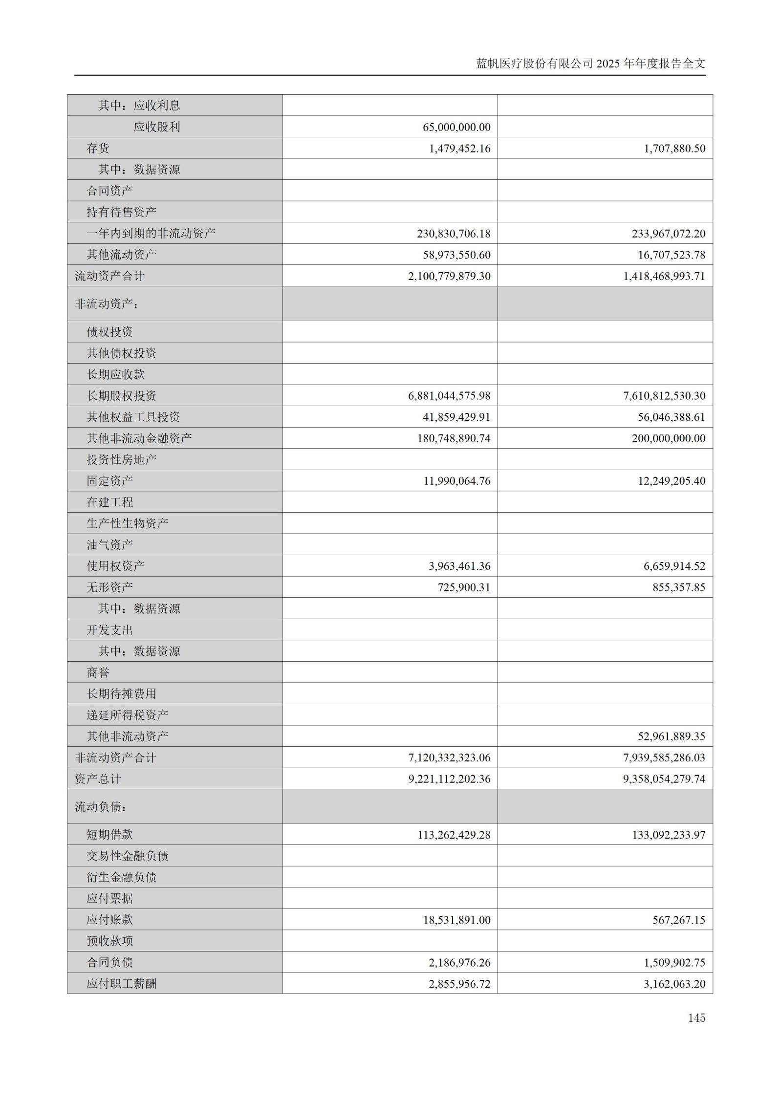 2025年年度报告_145