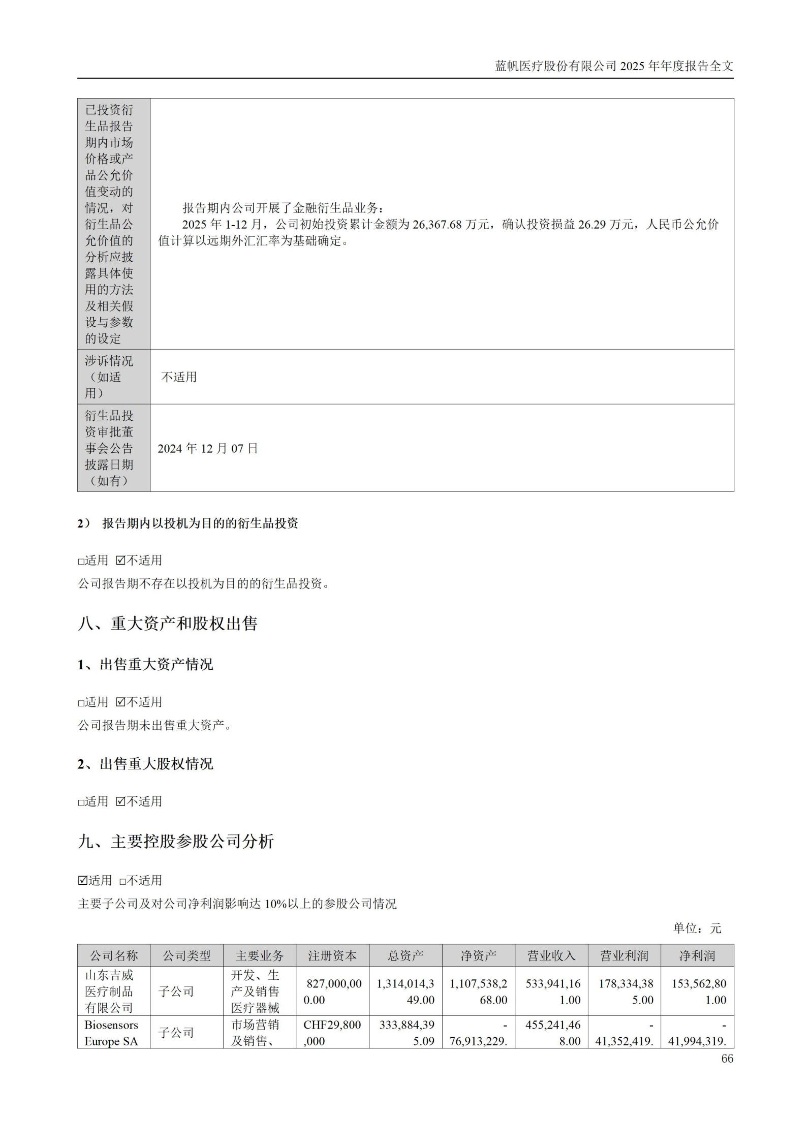 2025年年度报告_66