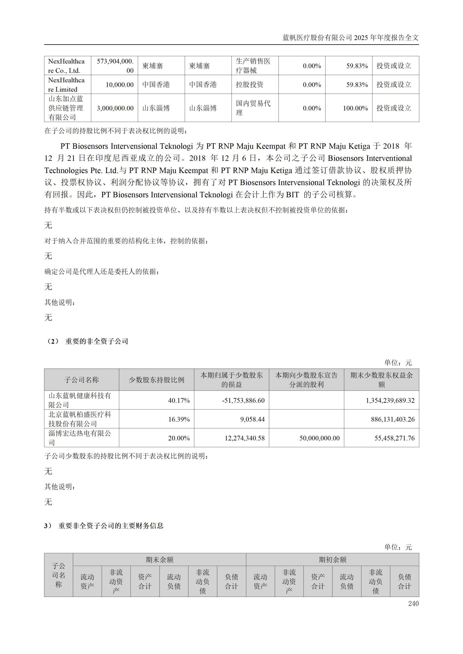 2025年年度报告_240