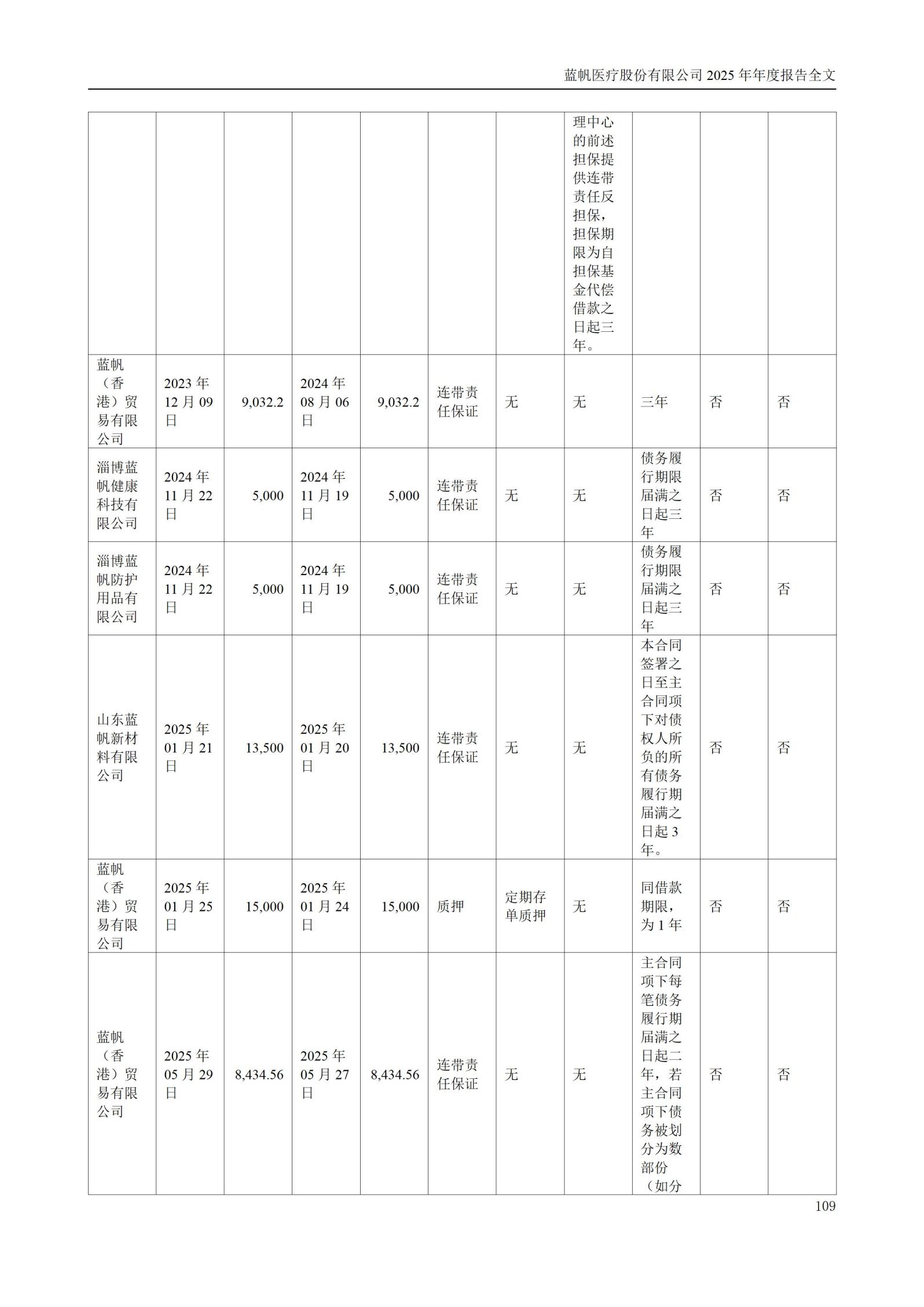 2025年年度报告_109