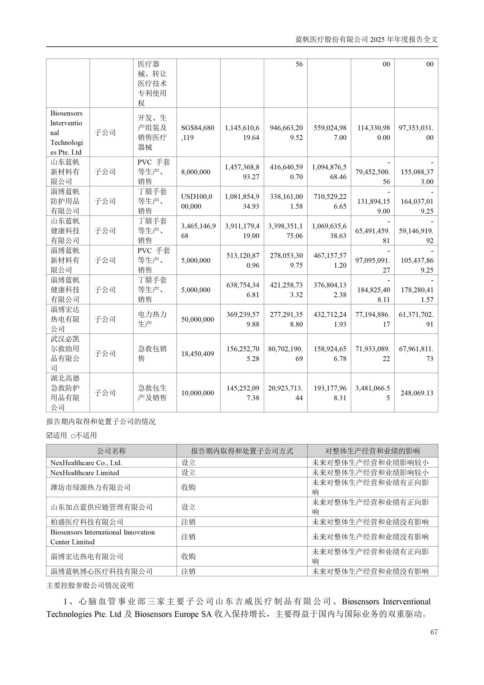 2025年年度报告_67