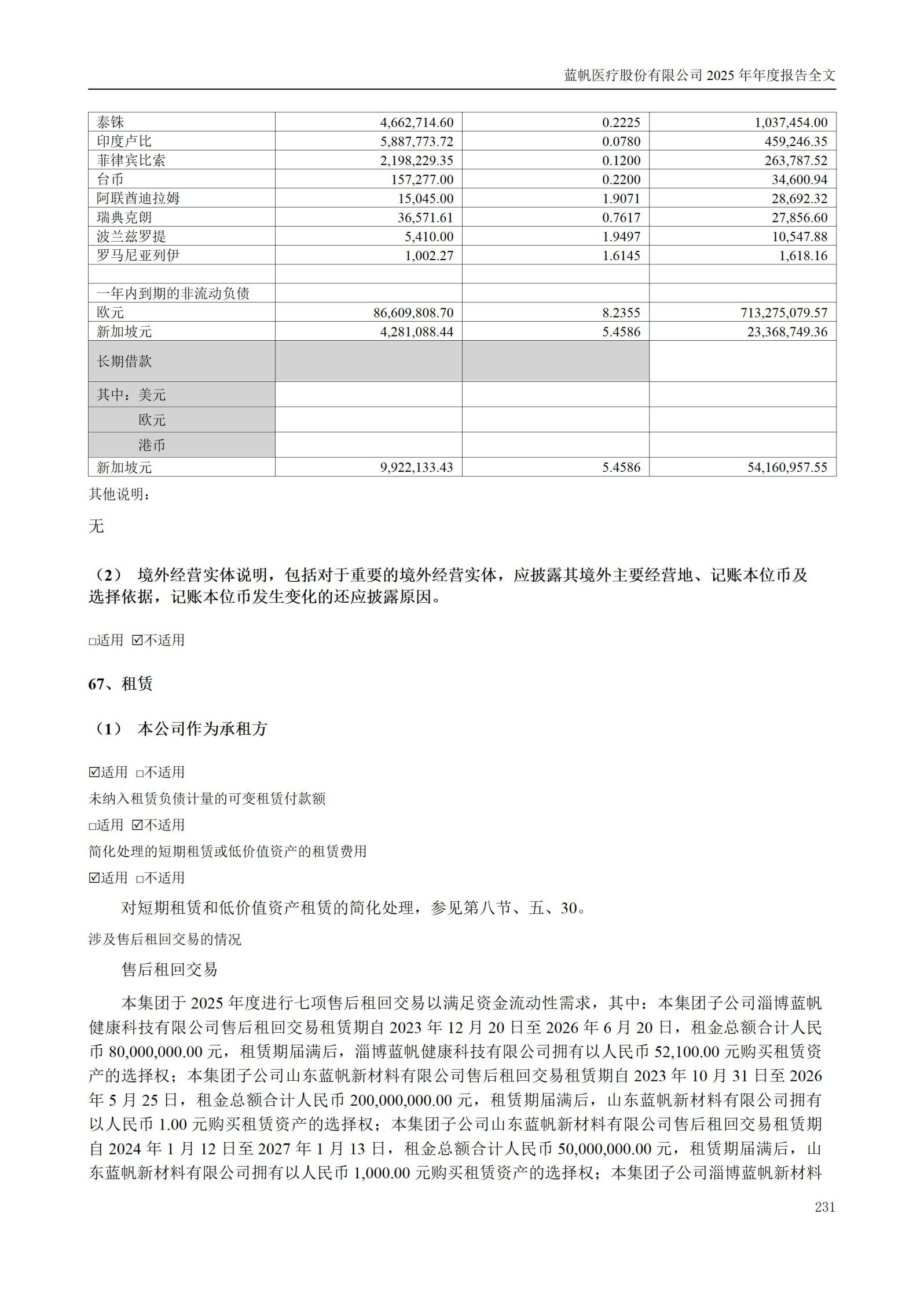 2025年年度报告_231
