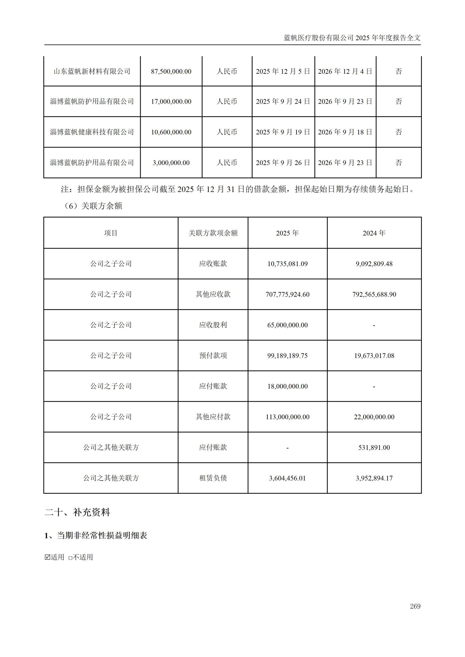 2025年年度报告_269