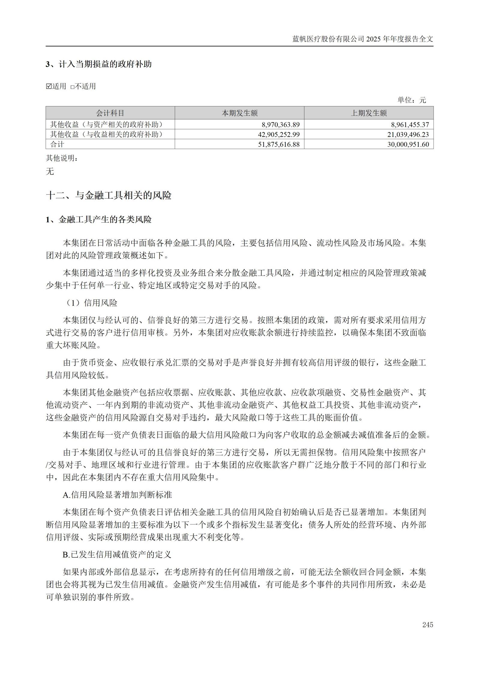 2025年年度报告_245
