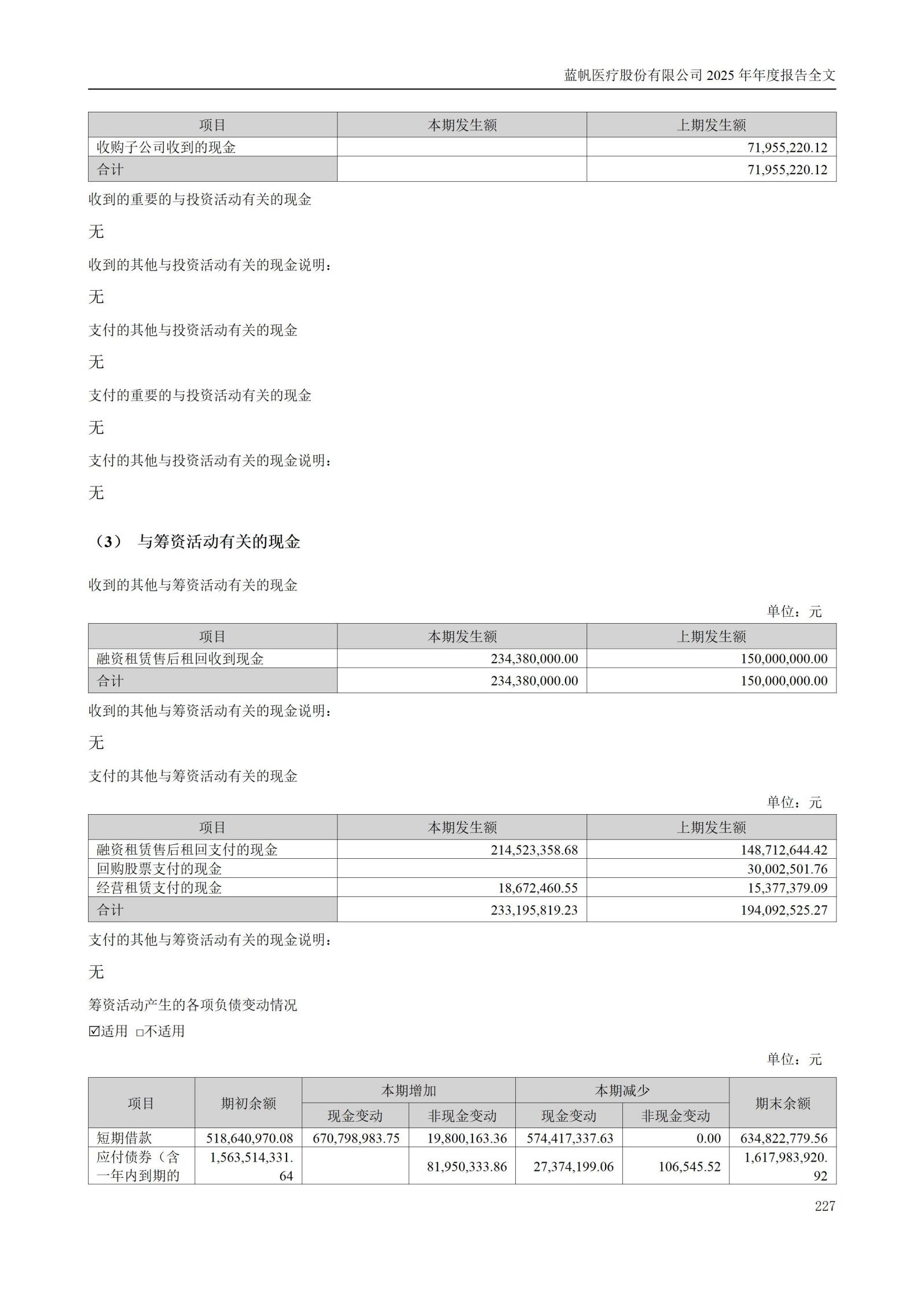 2025年年度报告_227