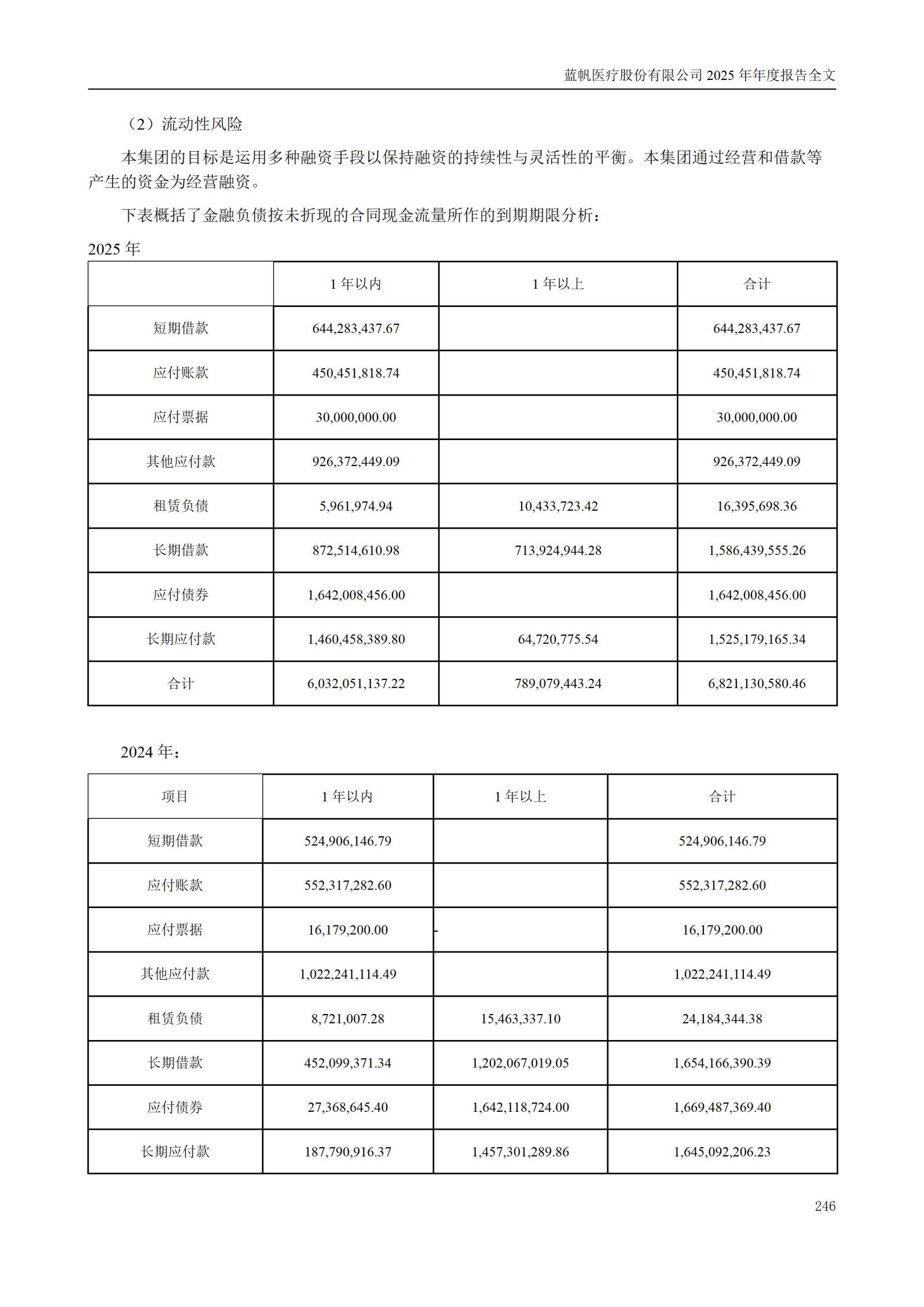 2025年年度报告_246